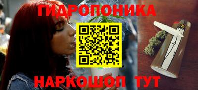 тгк Аргун