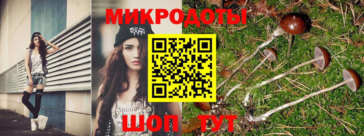 купить наркотики сайты  Псилоцибиновые грибы Psilocybine cubensis  Вход с VPN  Видное 
