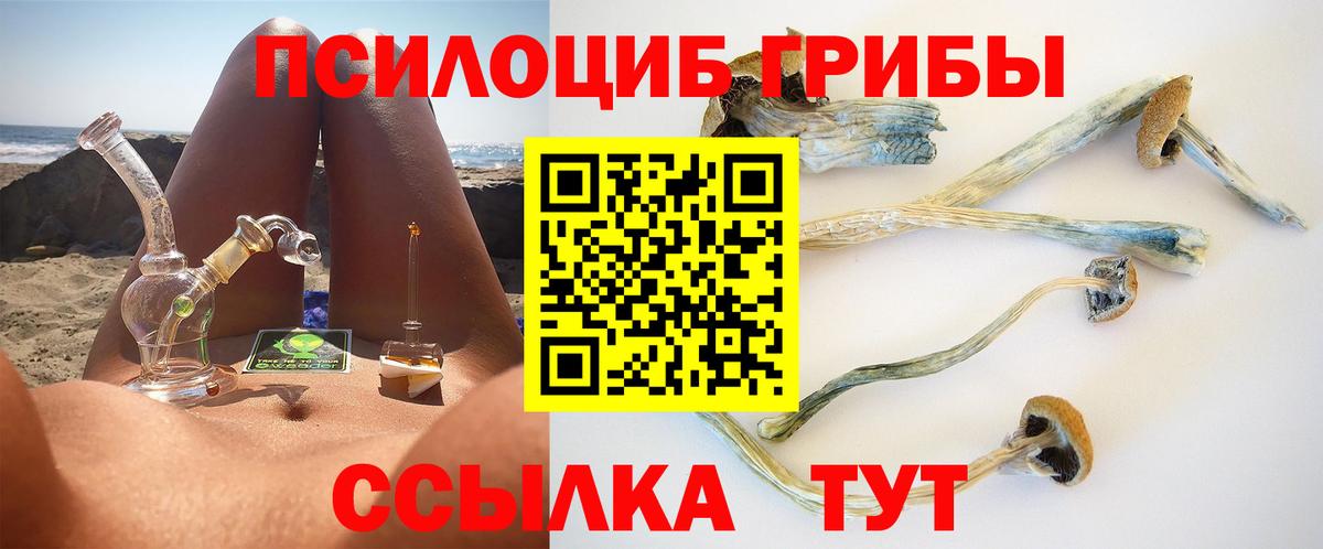 Галлюциногенные грибы GOLDEN TEACHER Видное